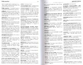 Файл:Dictionary of geology English definishions.djvu