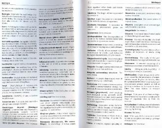 Файл:Dictionary of geology English definishions.djvu