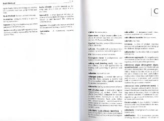 Файл:Dictionary of geology English definishions.djvu