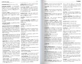 Файл:Dictionary of geology English definishions.djvu