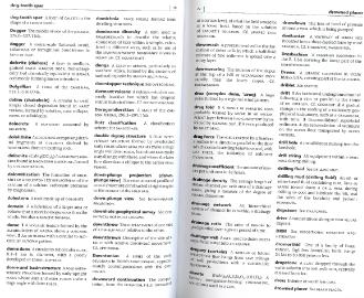 Файл:Dictionary of geology English definishions.djvu