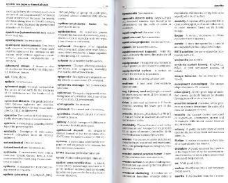 Файл:Dictionary of geology English definishions.djvu