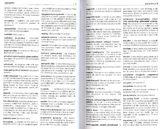Файл:Dictionary of geology English definishions.djvu