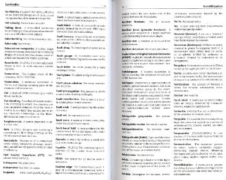 Файл:Dictionary of geology English definishions.djvu