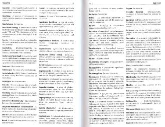 Файл:Dictionary of geology English definishions.djvu