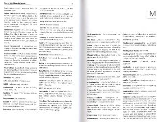 Файл:Dictionary of geology English definishions.djvu