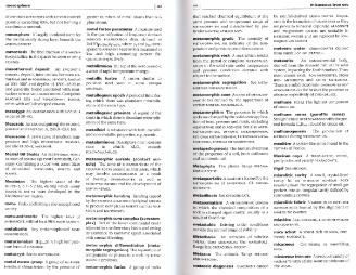 Файл:Dictionary of geology English definishions.djvu